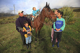 Horse